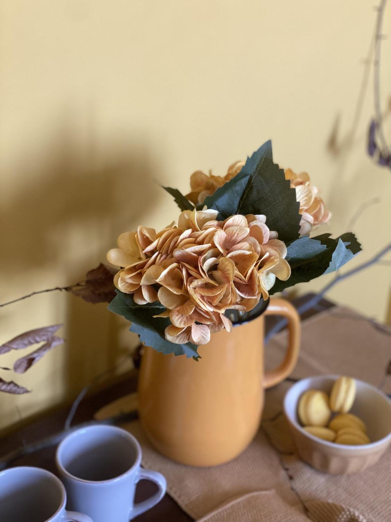 B&B Melloni Street Dolo Ngoại thất bức ảnh